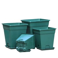 DD3178 petit Pot de pépinière en plastique épais et robuste pour la propagation des graines Pot de germination Pot de germination carré Pot de semis de pépinière