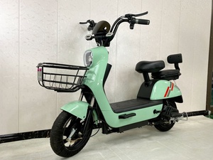 Vélo Électrique en Acier à Haute Teneur en Carbone 14 Pouces, 48V350W Y2-BD, Vente Chaude Usine - Product Image 4