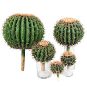 Vente chaude, plante en plastique haute simulation, bonsaï, succulentes, <span class=keywords><strong>cactus</strong></span> artificiel en boule pour la décoration - Product Image 2