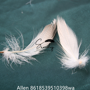 Bán Buôn Lỏng Tự Nhiên Mallard Sườn Vịt Bộ Lông Teal Vịt Cdc Lông Cho Fly Buộc Câu Cá Mồi - Product Image 6