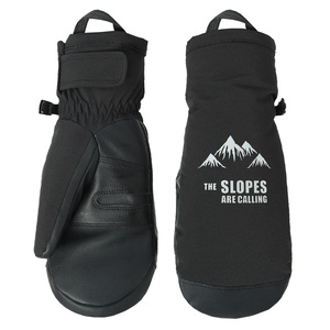 <span class=keywords><strong>Gants</strong></span> d'hiver isolés pour hommes 3M <span class=keywords><strong>Gants</strong></span> <span class=keywords><strong>de</strong></span> <span class=keywords><strong>ski</strong></span> et <span class=keywords><strong>de</strong></span> snowboard d'extérieur avec cuir <span class=keywords><strong>de</strong></span> chèvre Mitaines d'hiver pour hommes - Product Image 1