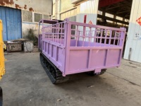Mini-dumper chenillé diesel hydraulique 5T avec caméra arrière, direction à gauche, neuf, à vendre