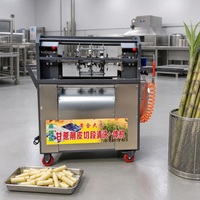 Industriële elektrische suikerriet schil- en snijmachine 200kg/u suikerriet schiller snijder reiniger voor drankenfabriek