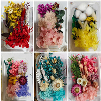 Kit de fleurs séchées mélangées pour loisirs créatifs, rose éternelle, lavande pour la Saint-Valentin, mariage, cadeau de fête, personnalisation en usine