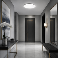 Lámpara de Techo LED Resistente a la Humedad para Adaptación a Entornos Complejos, para Distribuidores Regionales, Iluminación de Baños y Balcones