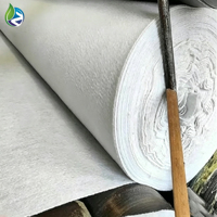 Tela Geotextil Industrial Negra Personalizada de Polipropileno No Tejido, Ecológica, Resistente a Desgarros y al Envejecimiento, con 5 Años de Garantía