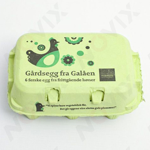 NOVIX Auto One Pass 蛋托打印机 <span class=keywords><strong>HP</strong></span> 打印头高速印刷机，适用于纸浆蛋托包装标志打印机 - Product Image 5