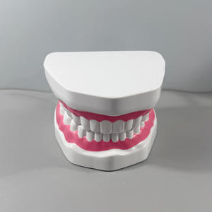 Modelo Dental Oral MAC-YJ30, Modelo Anatómico de Dientes de Niños con Caries, Dentadura Postiza MAXCARE de Resina PVC, para Enseñanza de Limpieza Dental en Jardín de Niños - Product Image 1
