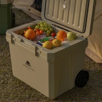 Glacière rigide à roulettes 48L, garde la glace, pour le camping, en plastique, portable, pour pique-nique, avec poignée