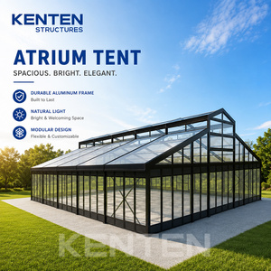 Tenda a Padiglione per Eventi con Tetto Trasparente 20x30 30x30 30x50 50x50, Resistente, per Esterni, con Picco, Tipo Atrio, Copertura per Patio - Product Image 4