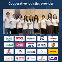 Transitaire Aérien et Express Rapide et Fiable de Chine vers les États-Unis, Agence Maritime, Assistance 24/7, Assurance, Excellent Service, Meilleur Prix