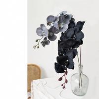 Ranting Anggrek Hitam Buatan M1012 Grosir, Bunga Sutra Phalaenopsis untuk Dekorasi Rumah Halloween, Latar Belakang Pernikahan Gotik