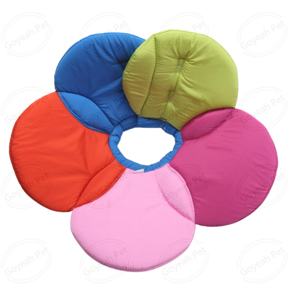 Fleur colorée