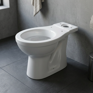 European Monoblock Style 1st Grade Ceramic Water Closet High End Twyford Close Coupled Toilet Set - Product Image 6