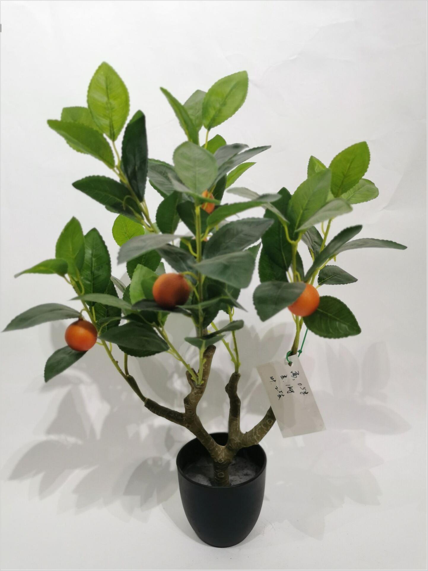 55*35cm