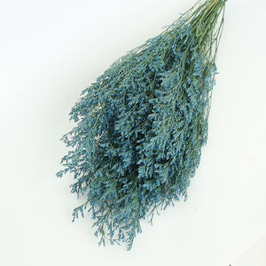 ดอกไม้แห้งขายส่ง หญ้าวาเลนไทน์ฟอกขาวธรรมชาติ ลิโมเนียมสีขาวคงสภาพ - Product Image 6