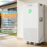 Batterie LiFePO4 de haute qualité IP65 15kWh 16kWh Dyness Powerbrick Pro Plus Système de stockage d'énergie solaire ESS