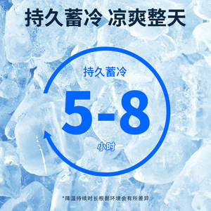 <b>Cooling</b> Vest With Ice Packs For Outdoor Heatstroke Prevention Breathable Polyester Hike Use - Product Image 2