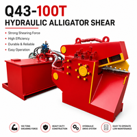 Vente directe usine Q43-100T Cisaille hydraulique automatique à moteur pour la transformation des ferrailles de laiton/cuivre