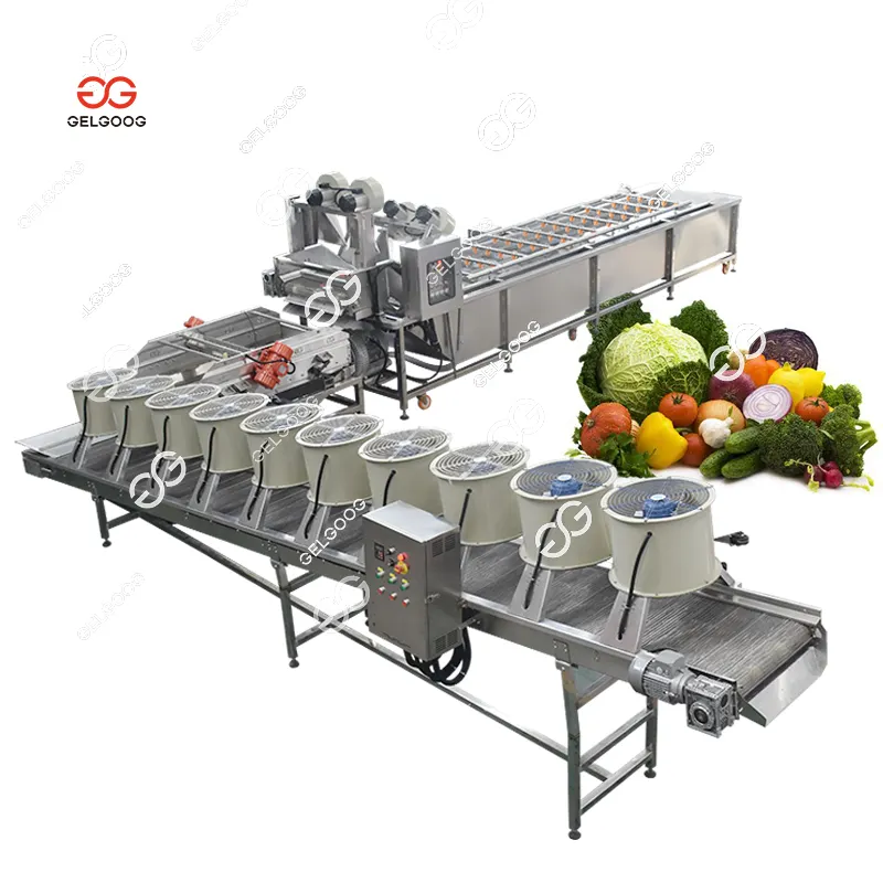 Gelgoog frutta verdura pulizia e triturazione linea di produzione lavaggio e asciugatura frutta congelata linea di lavaggio