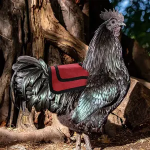 Standard Size Chicken Saddles Adjustable Hen Aprons Hen Jackets Wing Protector Poultry Saver Feather Fixer Chicken Accessories