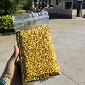 Pólen de Abeja de Colza Mixto de Alta Calidad, Nuevo y Fresco, 100% Puro, Pólen de Abeja Crudo en Polvo, Venta al por Mayor a Granel - Product Image 3