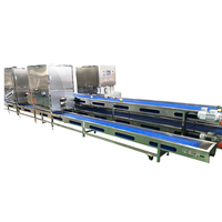 Turnkey fruit- en groenteverwerkingsinstallatie met sorteer-, graderings- en automatische verpakkingslijn voor wortelgewassen