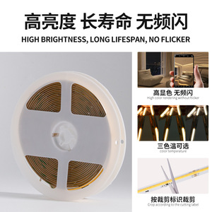 Cob <b>Led</b> <b>Strip</b> <b>Light</b> 360D 24V 10Mm Monochrome High Brightness No Flicker Indoor Decoration - Product Image 3