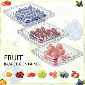 Contenedores Desechables de Plástico PP PET para Frutas, con Diseño de Orificios, para Tomate, Cereza, Arándano, Reciclables, Profesionales, al por Mayor - Product Image 4