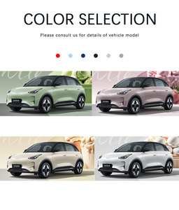 Per la stella della galassia di Geely 2025 310km edizione della gioventù nuova auto elettrica cinese piccolo veicolo ad alta efficienza energetica - Product Image 3