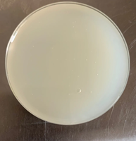 Émulsifiant épaississant pour matières premières cosmétiques Sepigel 305 Liquide