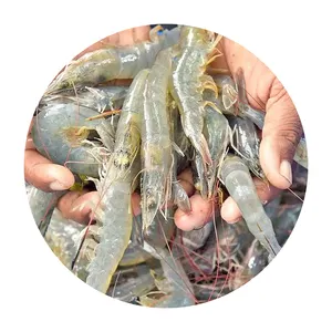 Homard congelé entier de qualité supérieure écrevisses goût sucré fruits de mer fruits de mer frais surgelés homard à bas prix préfecture cuit à la vapeur p