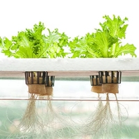 Système de culture hydroponique en serre agricole, canal en PVC vertical, galvanisé, système NFT, pompe, haute productivité, irrigation automatique