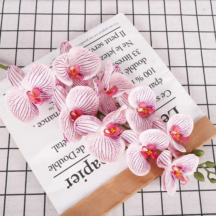 Jelly powder