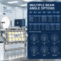 Projecteur LED extérieur commercial 60W IP66 IK08 à angle de faisceau multiple pour éclairage paysager