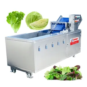 Vegetable And Fruit Washing Machine Commercial New Design Vegetable Washing Machine For Cabbage Sugar Beet Dried Fruit Salade Ozone Washing