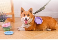 Bol pour chien personnalisé avec logo d'usine, bols pliables pour animaux de compagnie, plat portable pour nourrir et abreuvoir les animaux de compagnie lors de promenades, de stationnements et de voyages
