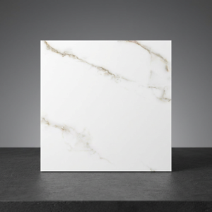 Baldosas de Porcelana con Aspecto de Mármol Estatuario Clásico, 600x600mm, Pulido, Serie para Sala de Estar - Product Image 5