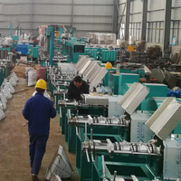 Multifunctionele automatische schroefoliepersmachine voor kokosolie, zonnebloemolie, sojaboonolie, sesamolie en pinda-olie.