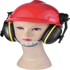 China Manufacturer Personal Protective Durable Safety Helmet With abs Earmuffs