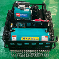 Robot Pemotong Rumput Crawler 800mm Murah Pabrik, Mesin Pemotong Rumput Remote Control Dengan Sertifikat CE EPA