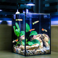 Aquarium intelligent de luxe moderne pour salon, petit, en verre ultra-transparent, ensemble complet de bureau, mini micro-paysage, éco-aquarium