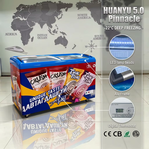 -22 ° Congelatore Commerciale per Gelati C Deep Freezing con Telaio in Alluminio, Porta Scorrevole in Vetro e Termostato Digitale - Product Image 1