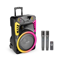 Haut-parleur trolley 15 pouces CSN-WS15, modèle exclusif, 50W RMS, avec anneau lumineux RGB, pour karaoké extérieur, OEM ODM