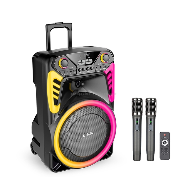 CSN-WS15 Private Mould 15 Inch Trolley  Speaker 50W RMS RGB Ring Light Outdoor Karaoke Party Speaker OEM ODM