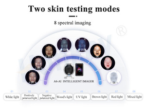 Prix usine fabricant 3 types d'analyse comparative 15.6 pouces écran diagnostic de la peau Machine d'analyse de la peau du visage - Product Image 4