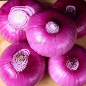 Organik hint taze soğan ve sarımsak fabrika ihracat fiyatı - Product Image 4