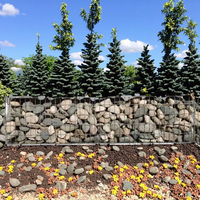Cesta de gaviones soldada galvanizada, caja de gaviones de 1x1x1m para jardín