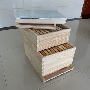 Colmena Langstroth Profesional de 2 Niveles, Construcción en Madera de Abeto y Pino, Equipo de Apicultura - Product Image 3