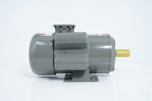 Motor de Inducción Monofásico Bhavi Industries 3HP BI-3-P, 2.25KW, 210-230V, 1500 RPM, Cuerpo de Acero Suave, TEFC, CSCR, Montaje en Pedestal, IE2 - Product Image 2
